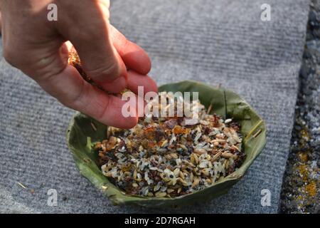Rituel hindou appelé 'Yagya ou Yajna'. Interprété avec le chant traditionnel de mantra. Photo à Katmandou, Népal. Banque D'Images