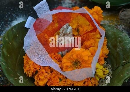 Fleurs Marigold. Emplacement de l'image: Katmandou, Népal Banque D'Images