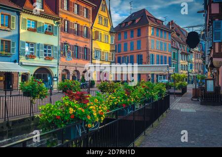 Magnifique allée fleurie avec boutiques et cafés de la rue. Maisons colorées à colombages et rues vides tôt le matin au lever du soleil, Colmar, Alsace, F Banque D'Images