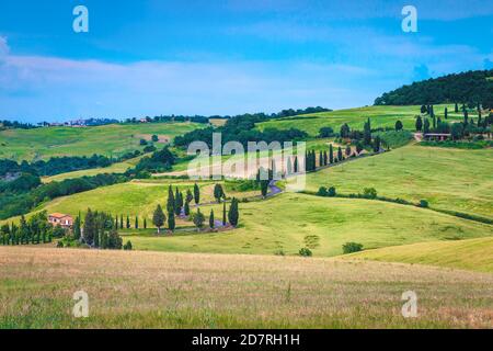 Paysage toscan typique avec une route courbe et des cyprès sur la colline, Toscane, Italie, Europe Banque D'Images