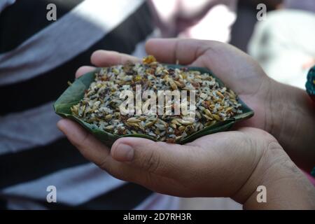 Rituel hindou appelé 'Yagya ou Yajna'. Interprété avec le chant traditionnel de mantra. Photo à Katmandou, Népal. Banque D'Images