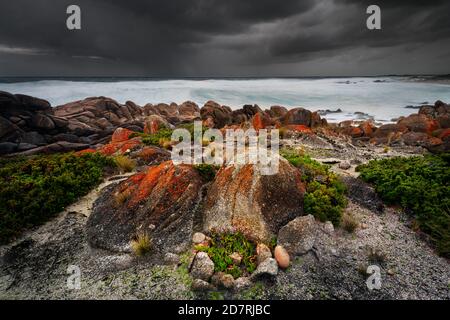 Côte sauvage et sauvage à Granville Harbour. Banque D'Images