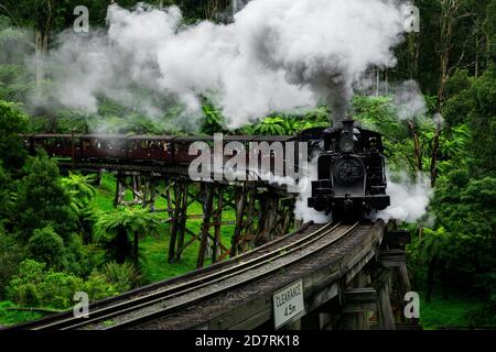 Célèbre pont à tréteau de Puffing Billy dans les chaînes de Dandenong. Banque D'Images