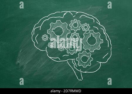 Cerveau humain avec roues dentées dessinées à la main dans la craie sur un tableau vert. Banque D'Images