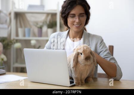 Une femme heureuse travaille sur un ordinateur portable jouant avec un lapin domestique Banque D'Images