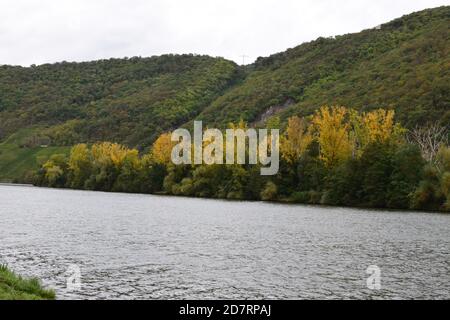Île de Mosel à une écluse de rivière Banque D'Images