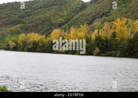 Île de Mosel à une écluse de rivière Banque D'Images