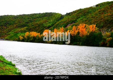 Île de Mosel à une écluse de rivière Banque D'Images