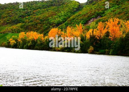 Île de Mosel à une écluse de rivière Banque D'Images
