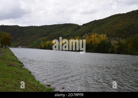 Île de Mosel à une écluse de rivière Banque D'Images