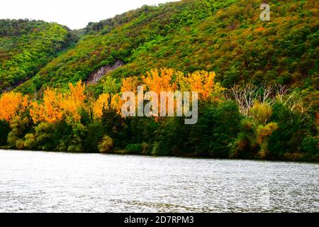 Île de Mosel à une écluse de rivière Banque D'Images