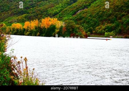 Île de Mosel à une écluse de rivière Banque D'Images