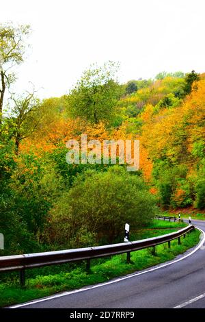 Route humide à travers Nettetal en automne Banque D'Images