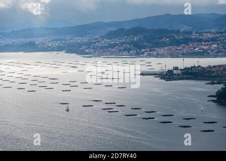 Fermes de moules (bateas) dans l'estuaire de la Ria de Vigo, avec la ville de Vigo en arrière-plan. Banque D'Images