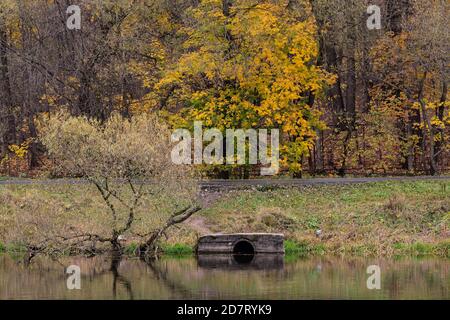 paysage d'automne avec forêt à feuilles caduques sur la rive du étang Banque D'Images