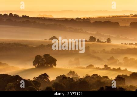 Lever de soleil sur le Cranborne Chase de Win Green Hill, Dorset, Angleterre, Royaume-Uni Banque D'Images