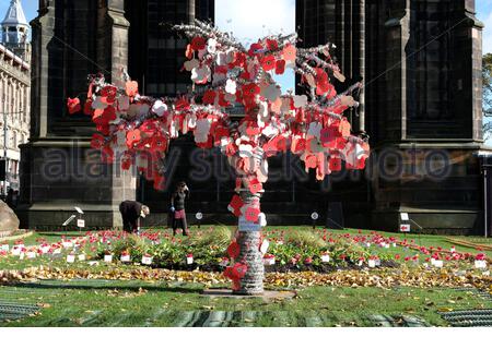 Édimbourg, Écosse, Royaume-Uni. 25 octobre 2020. Coquelicot Scotland Appeal, l'arbre d'honneur écossais accroché aux coquelicots dans Princes Street Gardens en préparation du dimanche du souvenir qui tombe cette année le 8 novembre. L'arbre d'honneur est composé de milliers de messages personnalisés et de remerciements en l'honneur de la communauté des Forces armées. Crédit : Craig Brown/Alay Live News Banque D'Images