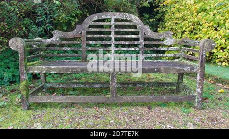 Ancien siège en bois dans le parc couvert de lichen et de mousse avec bagues derrière Banque D'Images