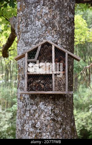 Insecte Hotel, Bug House ou Insect House offrant un site de nidification aux insectes attachés au tronc d'arbre Banque D'Images