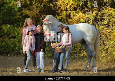 Enfants jouant au cheval de frégon dans la ferme. Les petites filles s'amusent tout en marchant à l'extérieur Banque D'Images