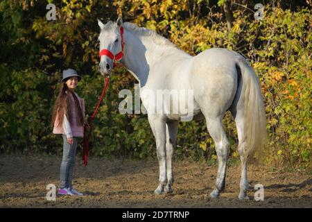Tambov, Russie, le 20 octobre 2020 : une jeune fille fait un cheval de dressage andalou à la répétition officielle de l'exposition Pokrovskaya Banque D'Images