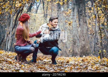La femme et l'homme de flatter le chien marcher dans une configuration d'automne colorés Banque D'Images