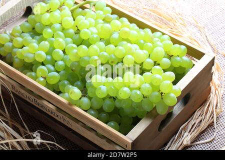 Raisins verts frais dans un Crate Banque D'Images