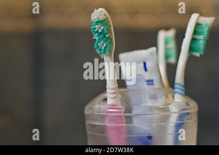 Gros plan de trois brosses à dents et dentifrice dans un bol dans la salle de bains Banque D'Images