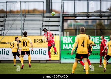 Horsens, Danemark. 25 octobre 2020. Johan Djourou (28) du FC Nordsjaelland vu pendant le match 3F Superliga entre AC Horsens et le FC Nordsjaelland à Casa Arena à Horsens. (Crédit photo : Gonzales photo/Alamy Live News Banque D'Images