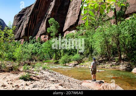 Désigné en 1919, le parc national de Zion est le plus ancien parc national de l'Utah. Le canyon de Zion présente des tours et des monolithes qui suggèrent une grandeur tranquille Banque D'Images