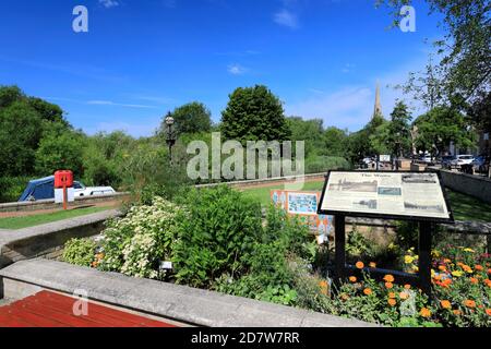 Vue d'été sur les attentes, rivière Great Ouse; ville de St Ives; Cambridgeshire; Angleterre; Royaume-Uni Banque D'Images