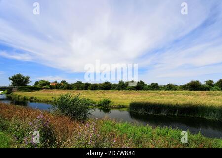 Vue sur le vieux moteur de Stretham, la rivière Great Ouse, village de Stretham, Cambridgeshire, Angleterre Banque D'Images