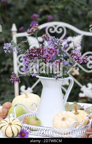 bouquet romantique de fleurs de verveine pourpre et de catnips dans le millésime vase Banque D'Images