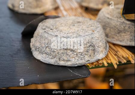 Collection de fromages, fromage gris français à base de lait de chèvre dans la région Normandie en France gros plan Banque D'Images