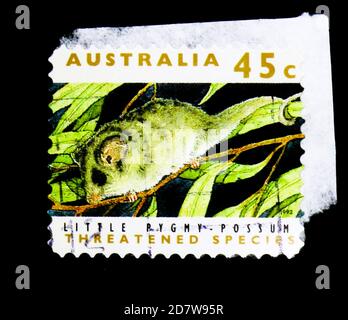 MOSCOU, RUSSIE - 28 MARS 2018 : un timbre imprimé en Australie montre Little Pygmy Possum (Cercartetus lepidus), série des espèces menacées, vers 1992 Banque D'Images