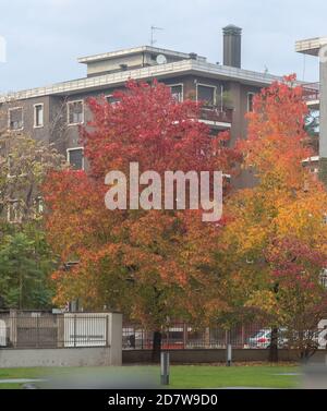 Paysage urbain en automne. Couleurs automnales des feuilles des arbres dans la ville. Couleurs spectaculaires des feuilles dans le jardin d'un palais. Banque D'Images