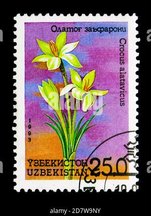 MOSCOU, RUSSIE - 28 MARS 2018 : un timbre imprimé en Ouzbékistan montre Crocus alatavicus, série de fleurs, vers 1993 Banque D'Images