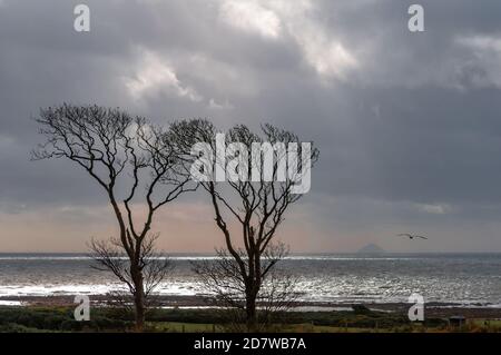 Portencross, Écosse, Royaume-Uni. 25 octobre 2020. Météo au Royaume-Uni : Ailsa Craig à l'horizon. Credit: SKULLY/Alay Live News Banque D'Images