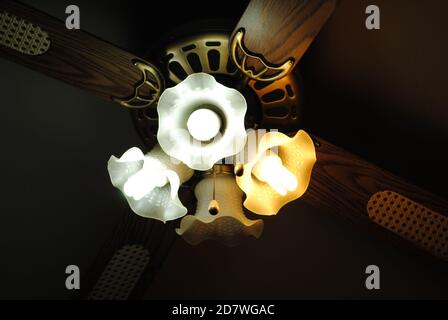 Ventilateurs de plafond Banque D'Images