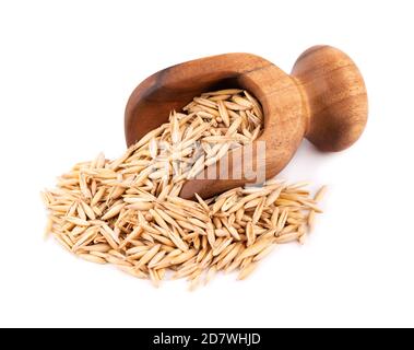 Grains d'avoine non pelés dans une cuillère en bois, isolés sur fond blanc. Graines d'avoine sèches organiques. Banque D'Images