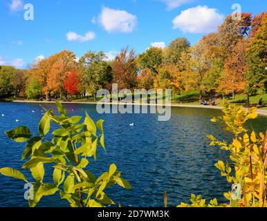 Canada, Québec, Montréal, Parc Lafontaine, Banque D'Images