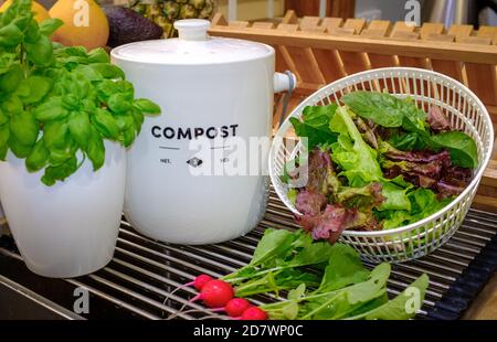 Pot de collecte de compost de déchets alimentaires avec des légumes cultivés à la maison sur le plan de travail de la cuisine recueillis dans le jardin, l'autosuffisance et la ferme urbaine durable Banque D'Images