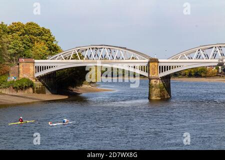 Rameurs sur la Tamise, sous le pont Barnes Banque D'Images