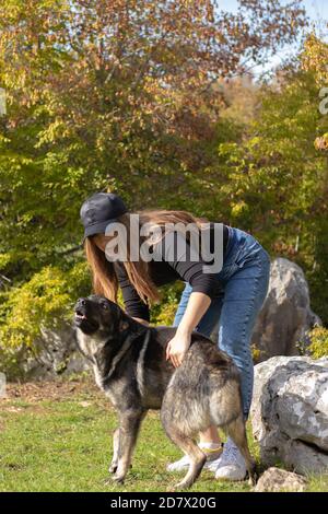 Brunette fille portant une casquette jouant avec un chien errant trouvé en randonnée dans les montagnes de croatie, la photo verticale des deux tandis que le chien fait un drôle Banque D'Images