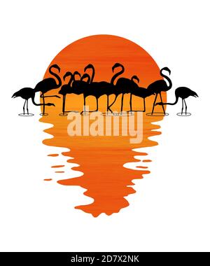 La Floride est énoncée dans les jambes d'une volée de flamants debout dans l'eau peu profonde au coucher du soleil dans cette illustration à propos de tropical en Floride, aux États-Unis. Banque D'Images
