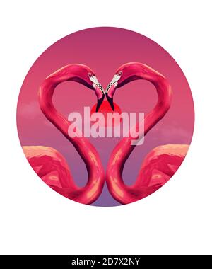 Les cols courbés des flamants forment la forme d'un cœur Banque D'Images