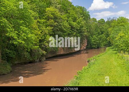 Arbres verts verdoyants au-dessus d'un ruisseau bordé de falaises en blanc Pines State Park dans l'Illinois Banque D'Images