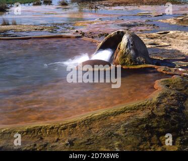 Puits artésien alésage dans le désert de Simpson, de l'Australie. Banque D'Images