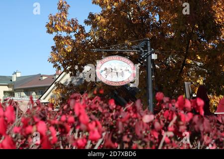 17 octobre 2020 - Collinwood Ontario Canada. Blue Mountain Village - panneau Firehall Pizza Co. Luke Durda/Alamy. Banque D'Images