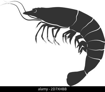 Icône crevettes. Illustration du concept vectoriel pour la conception. Illustration de Vecteur